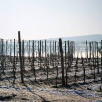 Cascina Piano Inverno